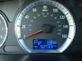Natural Khaki Green - Sonata GLS V6 Photo No. 27