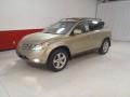 2005 Chardonnay Metallic Nissan Murano SL  photo #8