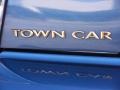2005 Norsea Blue Metallic Lincoln Town Car Signature Limited  photo #9