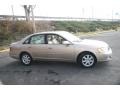 Desert Sand Metallic - Avalon XLS Photo No. 4