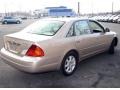 Desert Sand Metallic - Avalon XLS Photo No. 5