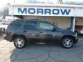 2007 Graphite Metallic Chevrolet TrailBlazer LS 4x4  photo #1