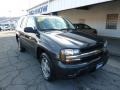 2007 Graphite Metallic Chevrolet TrailBlazer LS 4x4  photo #3