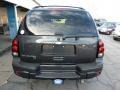 2007 Graphite Metallic Chevrolet TrailBlazer LS 4x4  photo #9