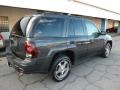 2007 Graphite Metallic Chevrolet TrailBlazer LS 4x4  photo #10