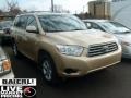 Sandy Beach Metallic - Highlander 4WD Photo No. 1