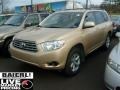 Sandy Beach Metallic - Highlander 4WD Photo No. 3