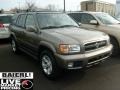 Bronzed Gray Metallic 2002 Nissan Pathfinder LE 4x4
