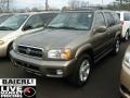 2002 Bronzed Gray Metallic Nissan Pathfinder LE 4x4  photo #3