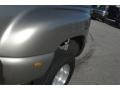 Light Pewter Metallic - Silverado 3500 LS Crew Cab 4x4 Dually Photo No. 11