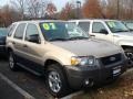 2007 Dune Pearl Metallic Ford Escape XLT V6 4WD  photo #3