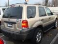 2007 Dune Pearl Metallic Ford Escape XLT V6 4WD  photo #4