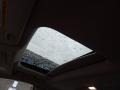 Charcoal Black Sunroof Photo for 2010 Ford Taurus #40430700