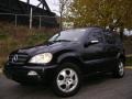Black - ML 350 4Matic Photo No. 1