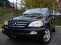 Black - ML 350 4Matic Photo No. 2