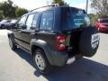 Black Clearcoat - Liberty Sport Photo No. 3