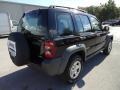 Black Clearcoat - Liberty Sport Photo No. 10