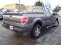 2010 Sterling Grey Metallic Ford F150 STX SuperCab 4x4  photo #5