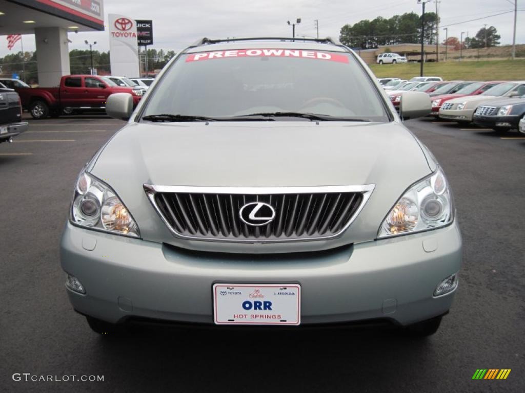 2008 RX 350 - Bamboo Pearl / Ivory photo #8