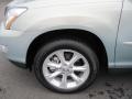 2008 Bamboo Pearl Lexus RX 350  photo #9