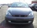 2004 Liquid Grey Metallic Ford Focus ZTS Sedan  photo #8