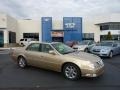 Light Cashmere Metallic - DTS  Photo No. 1