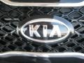 2011 Ebony Black Kia Sorento SX V6  photo #28