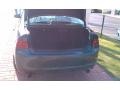 Carbon Gray Pearl - TSX Sedan Photo No. 22