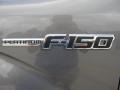 2010 Sterling Grey Metallic Ford F150 Platinum SuperCrew 4x4  photo #12