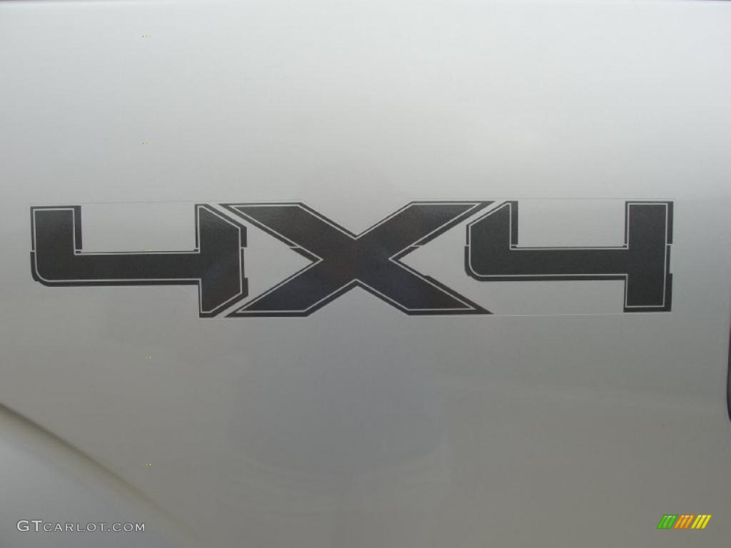 2010 F150 XLT SuperCrew 4x4 - Ingot Silver Metallic / Medium Stone photo #16