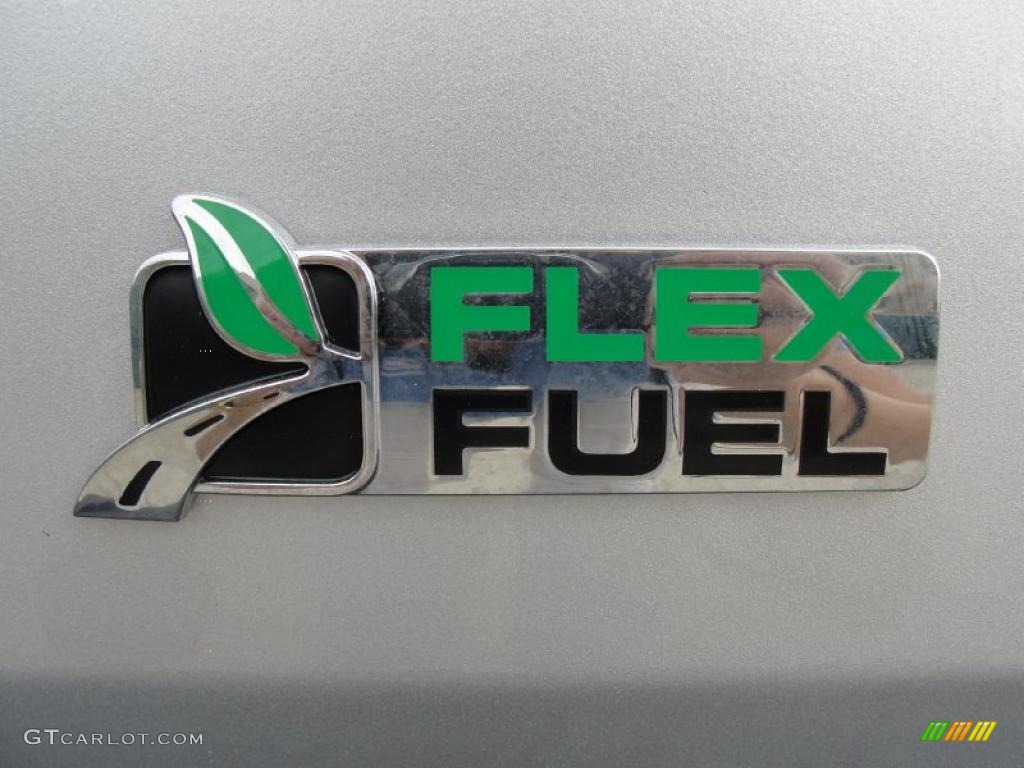 2010 F150 XLT SuperCrew 4x4 - Ingot Silver Metallic / Medium Stone photo #17