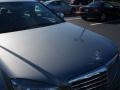 Palladium Silver Metallic - C 300 Luxury Photo No. 5