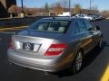 2008 Palladium Silver Metallic Mercedes-Benz C 300 Luxury  photo #12