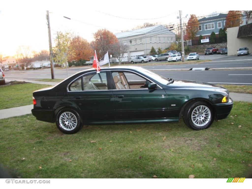 2002 5 Series 530i Sedan - Oxford Green Metallic / Sand photo #4