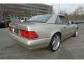 1998 Smoke Silver Metallic Mercedes-Benz SL 600 Roadster  photo #14