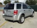 Ingot Silver Metallic 2011 Ford Escape XLT V6 Exterior