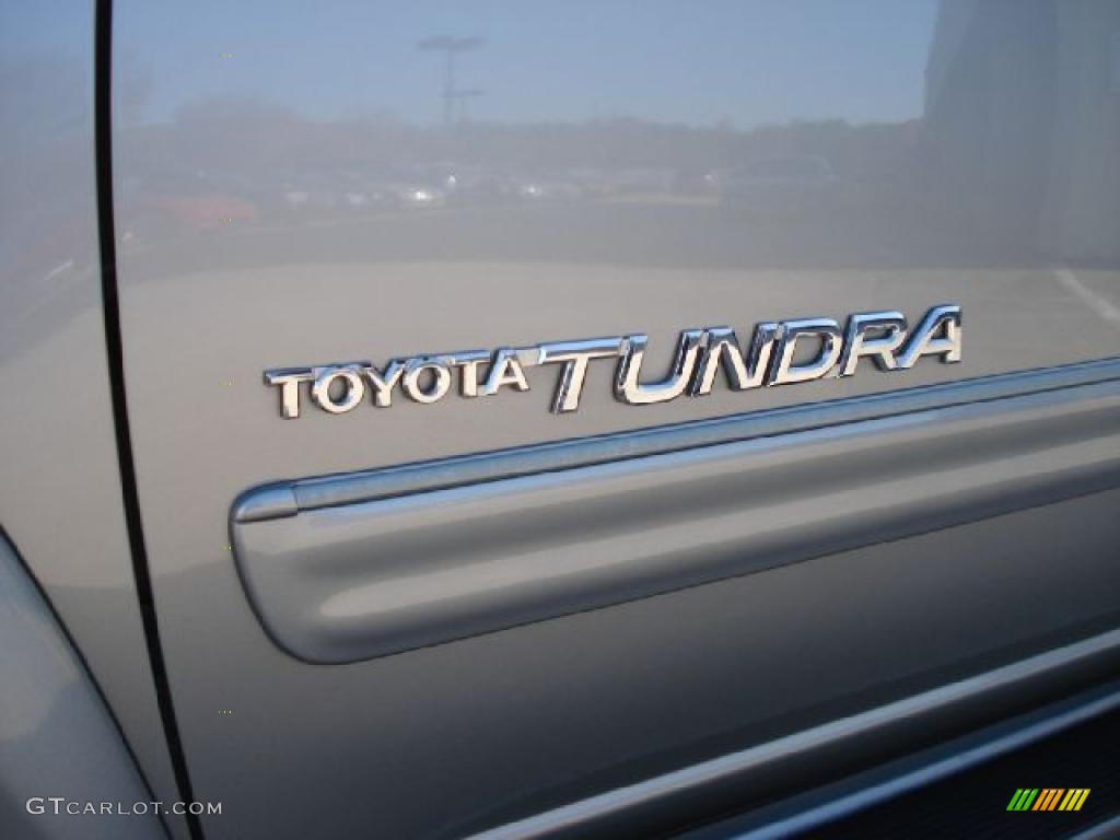 2004 Tundra SR5 Double Cab - Silver Sky Metallic / Light Charcoal photo #35