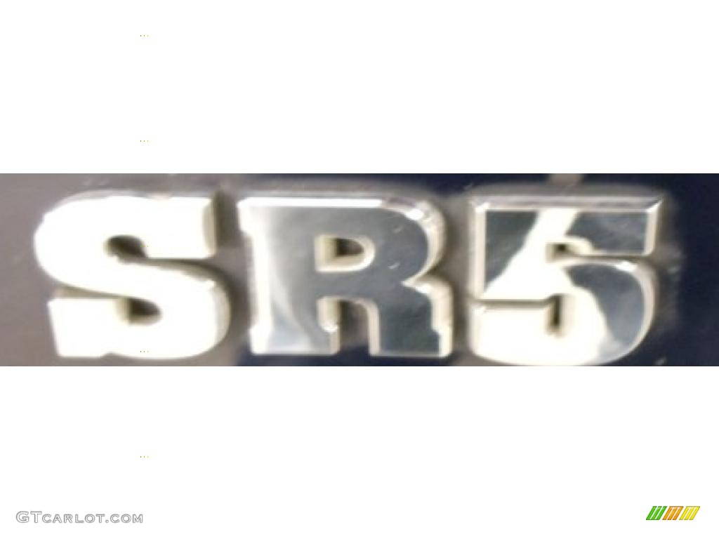 2006 4Runner SR5 - Nautical Blue Metallic / Stone Gray photo #4