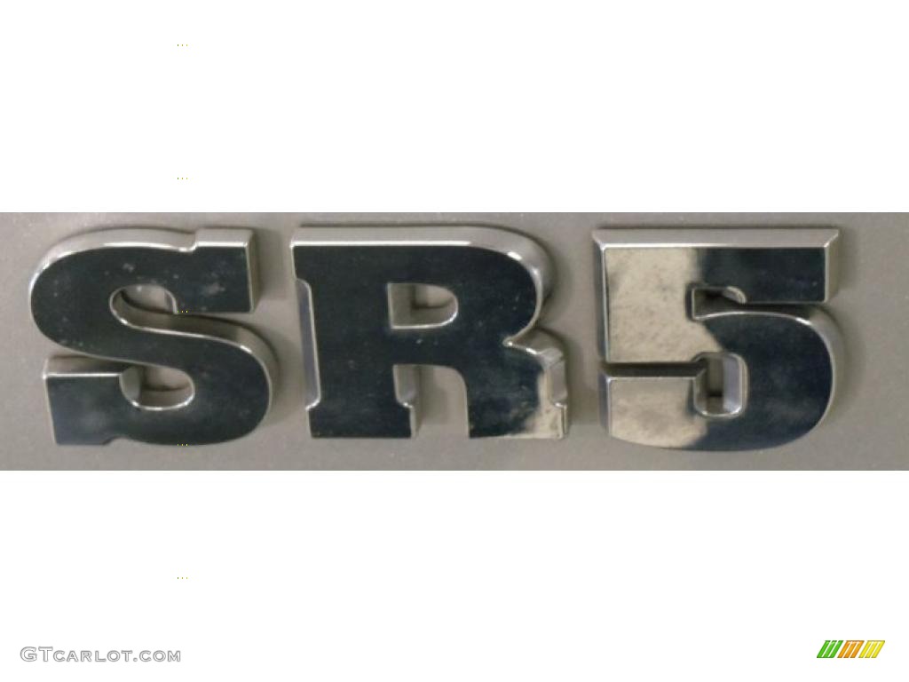 2008 4Runner SR5 - Titanium Metallic / Stone Gray photo #5
