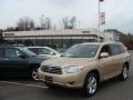 Sandy Beach Metallic - Highlander Limited 4WD Photo No. 1