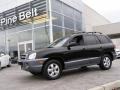 2005 Black Obsidian Hyundai Santa Fe GLS  photo #1