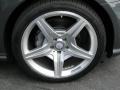 2010 Mercedes-Benz CLS 550 Wheel and Tire Photo