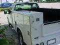2004 Oxford White Ford F250 Super Duty XL Regular Cab Chassis  photo #9