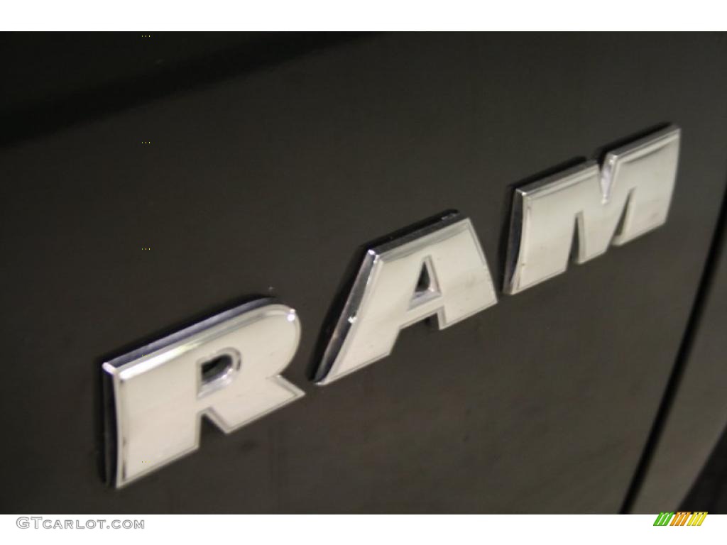 2008 Ram 1500 SXT Regular Cab 4x4 - Mineral Gray Metallic / Medium Slate Gray photo #31