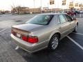 Cashmere 2003 Cadillac Seville STS Exterior