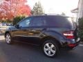 Black - ML 350 4Matic Photo No. 2