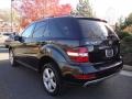 Black - ML 350 4Matic Photo No. 3