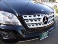 Black - ML 350 4Matic Photo No. 9