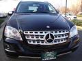 Black - ML 350 4Matic Photo No. 10