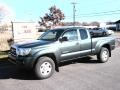 2010 Timberland Mica Toyota Tacoma V6 SR5 Access Cab 4x4  photo #1